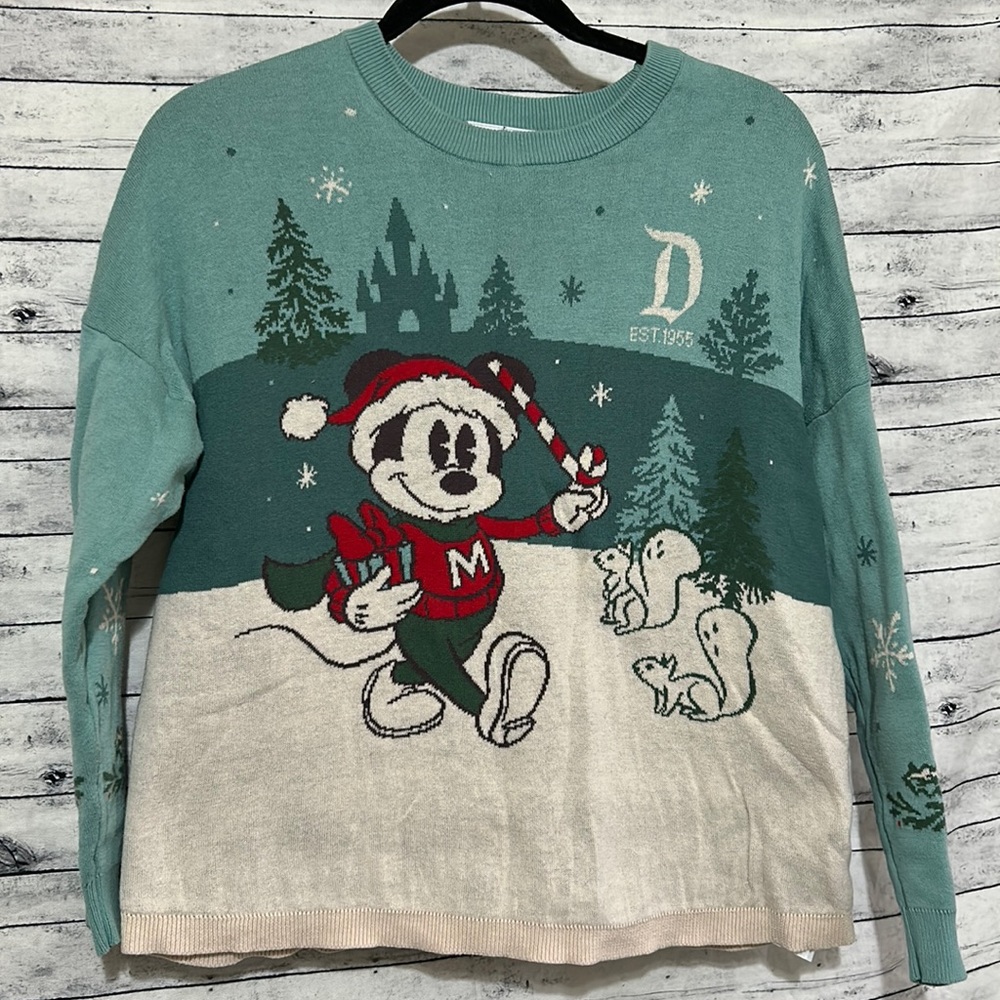 spirit jersey holiday  Disneyland